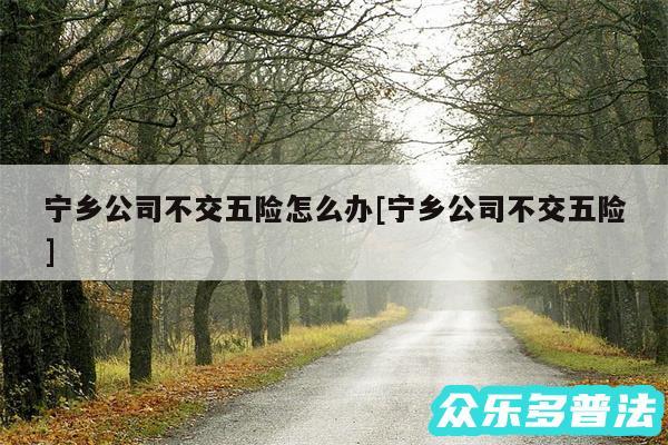宁乡公司不交五险怎么办及宁乡公司不交五险