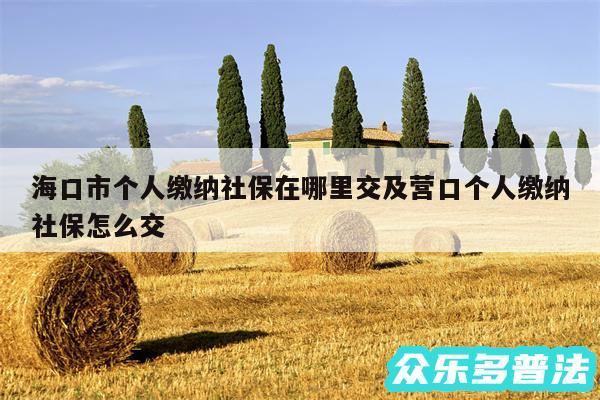 海口市个人缴纳社保在哪里交及营口个人缴纳社保怎么交