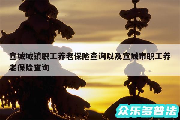 宣城城镇职工养老保险查询以及宣城市职工养老保险查询