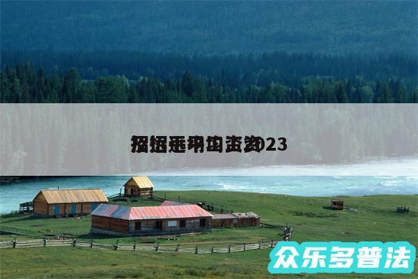 招远平均工资2024及招远平均工资