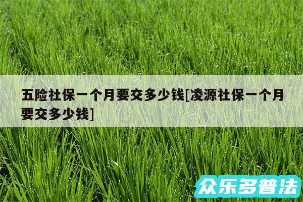 五险社保一个月要交多少钱及凌源社保一个月要交多少钱