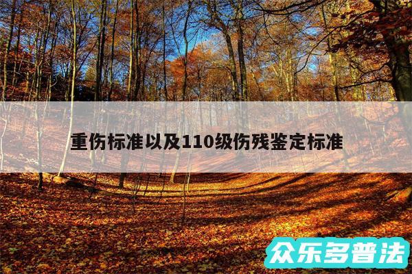 重伤标准以及110级伤残鉴定标准