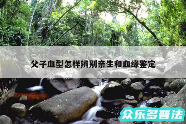 父子血型怎样辨别亲生和血缘鉴定