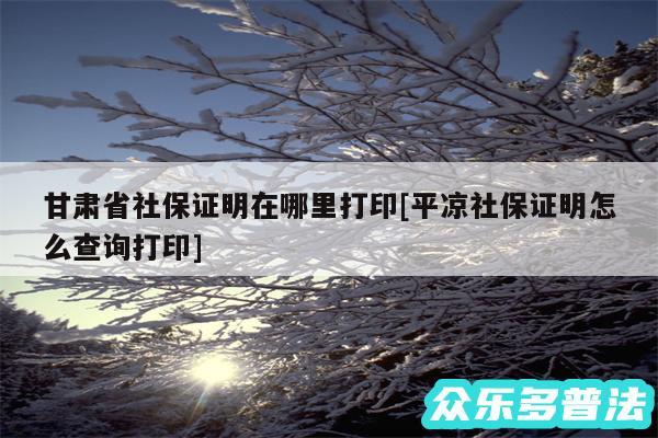 甘肃省社保证明在哪里打印及平凉社保证明怎么查询打印