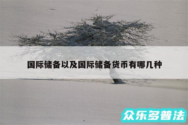 国际储备以及国际储备货币有哪几种