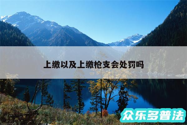 上缴以及上缴枪支会处罚吗
