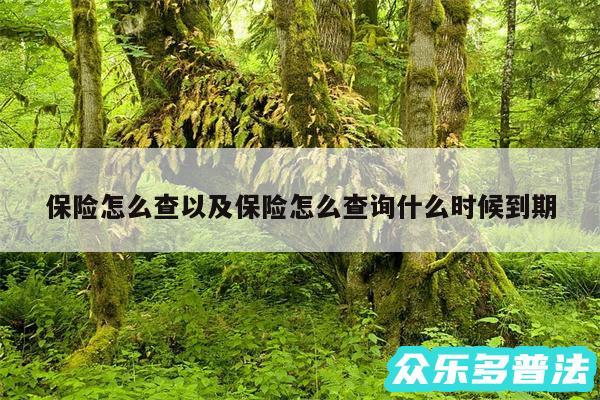 保险怎么查以及保险怎么查询什么时候到期