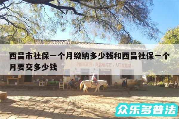 西昌市社保一个月缴纳多少钱和西昌社保一个月要交多少钱