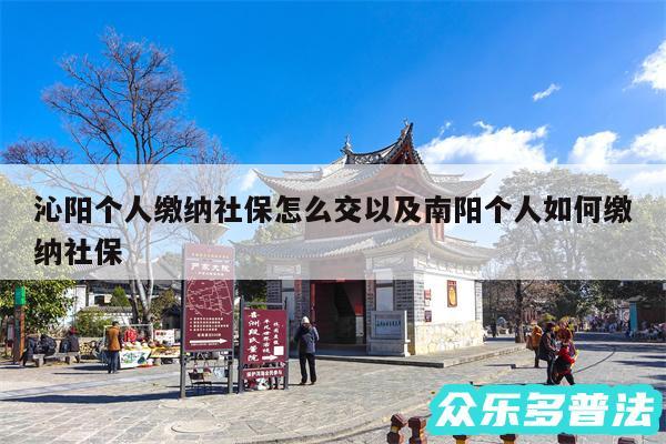 沁阳个人缴纳社保怎么交以及南阳个人如何缴纳社保