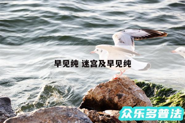 早见纯 迷宫及早见纯
