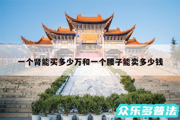 一个肾能买多少万和一个腰子能卖多少钱