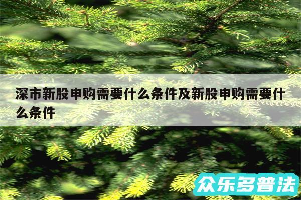 深市新股申购需要什么条件及新股申购需要什么条件