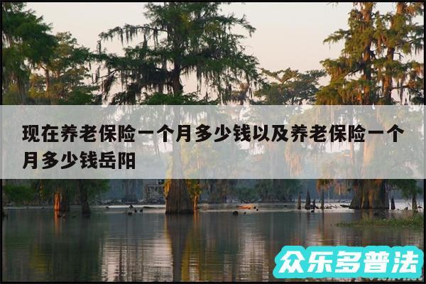 现在养老保险一个月多少钱以及养老保险一个月多少钱岳阳