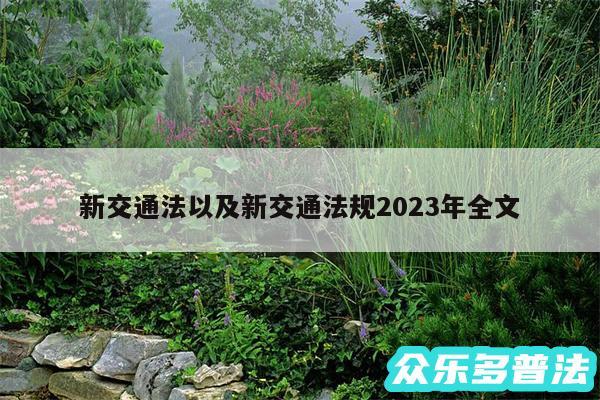 新交通法以及新交通法规2024年全文