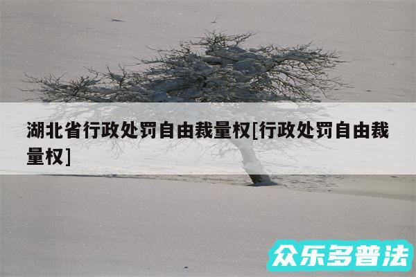 湖北省行政处罚自由裁量权及行政处罚自由裁量权