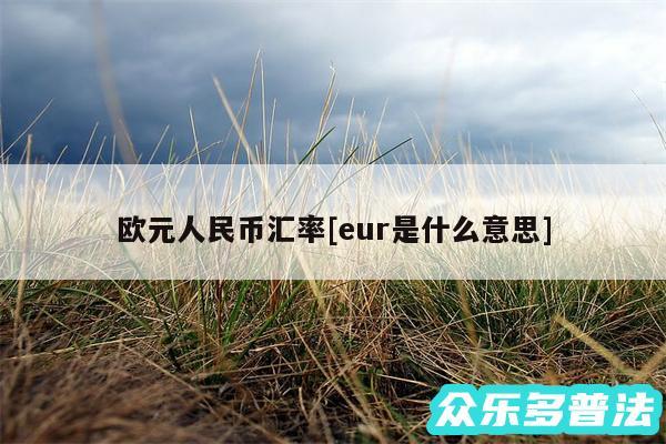 欧元人民币汇率及eur是什么意思