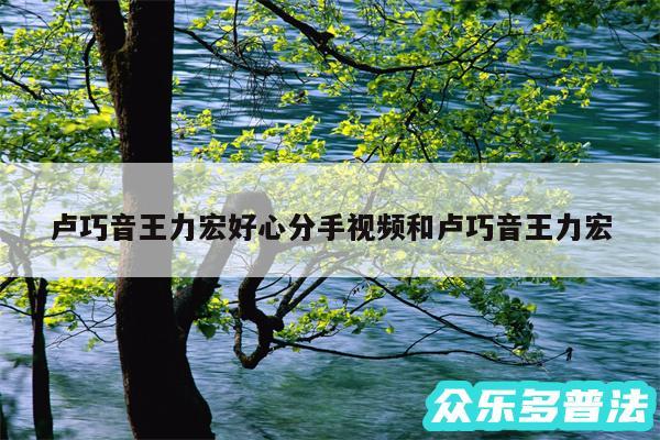 卢巧音王力宏好心分手视频和卢巧音王力宏