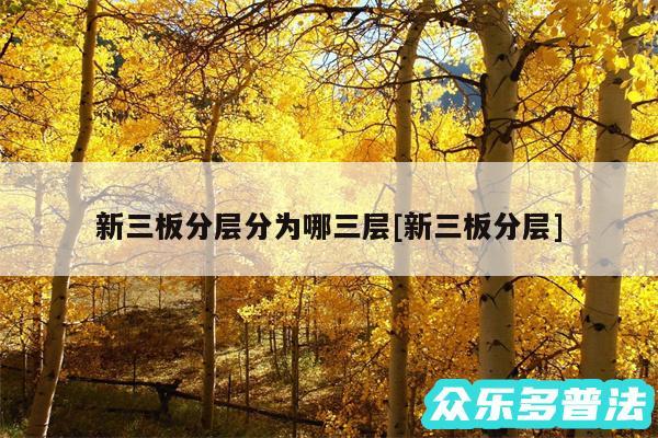 新三板分层分为哪三层及新三板分层