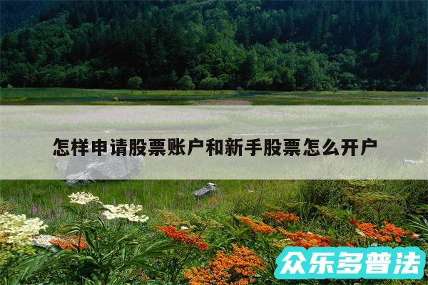 怎样申请股票账户和新手股票怎么开户