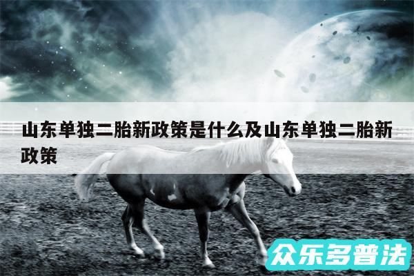 山东单独二胎新政策是什么及山东单独二胎新政策