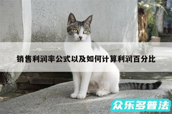 销售利润率公式以及如何计算利润百分比