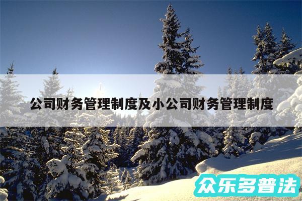 公司财务管理制度及小公司财务管理制度