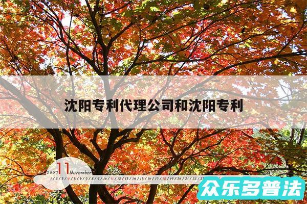沈阳专利代理公司和沈阳专利
