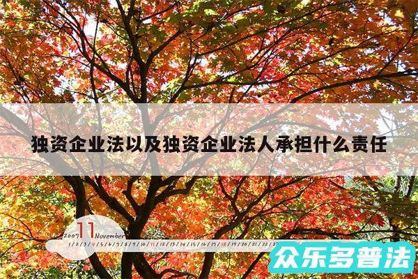 独资企业法以及独资企业法人承担什么责任