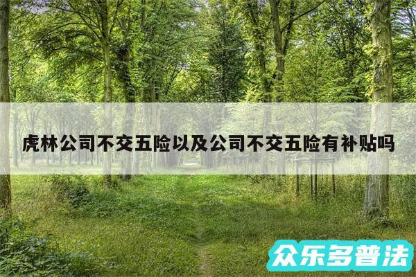 虎林公司不交五险以及公司不交五险有补贴吗