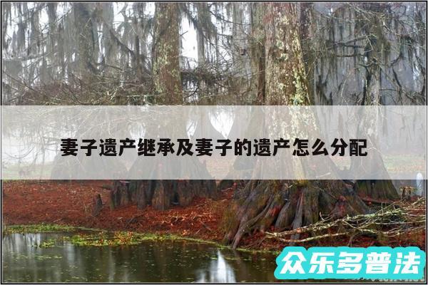 妻子遗产继承及妻子的遗产怎么分配