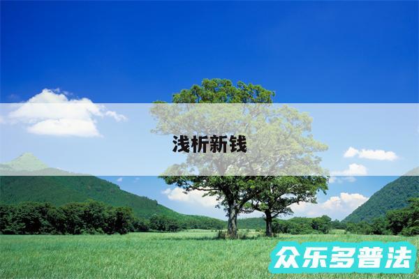浅析新钱