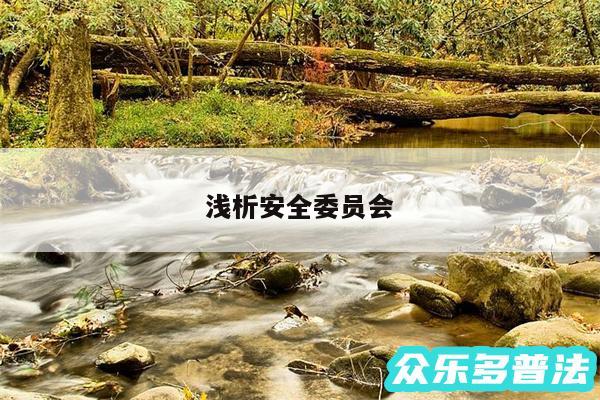 浅析安全委员会