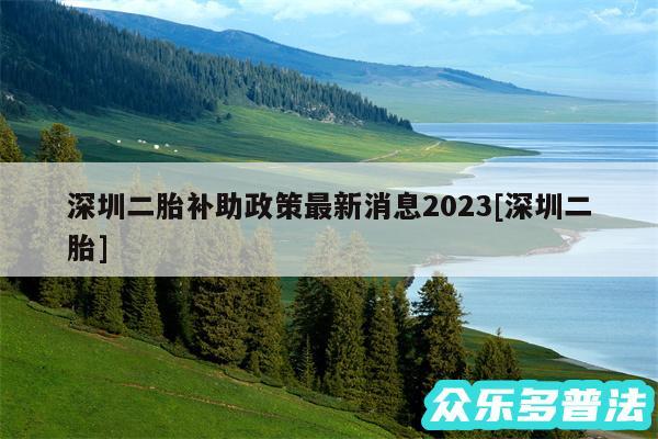 深圳二胎补助政策最新消息2024及深圳二胎