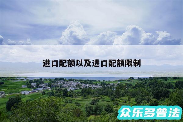 进口配额以及进口配额限制