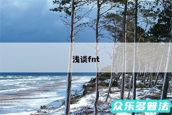 浅谈fnt