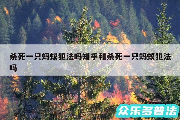 杀死一只蚂蚁犯法吗知乎和杀死一只蚂蚁犯法吗