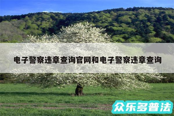 电子警察违章查询官网和电子警察违章查询