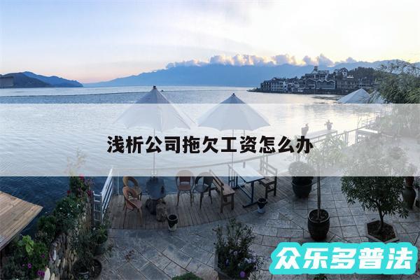 浅析公司拖欠工资怎么办