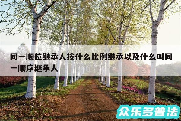 同一顺位继承人按什么比例继承以及什么叫同一顺序继承人