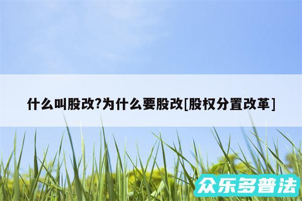 什么叫股改?为什么要股改及股权分置改革