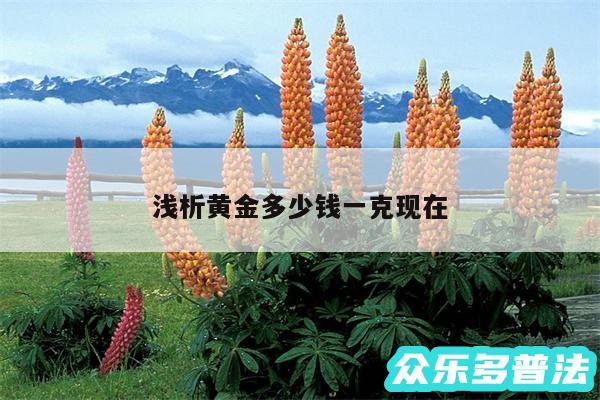 浅析黄金多少钱一克现在