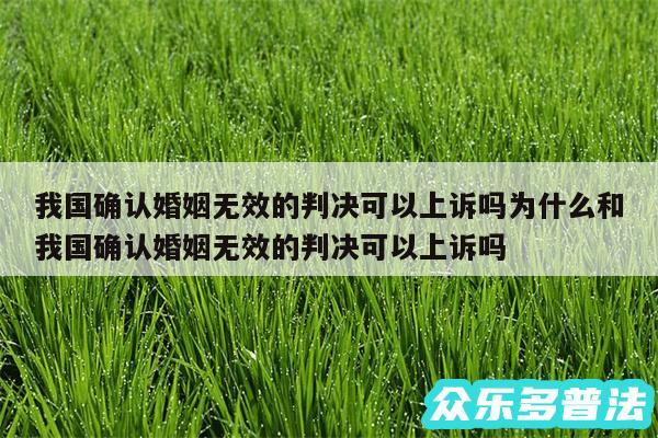我国确认婚姻无效的判决可以上诉吗为什么和我国确认婚姻无效的判决可以上诉吗