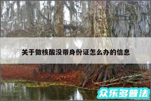 关于做核酸没带身份证怎么办的信息