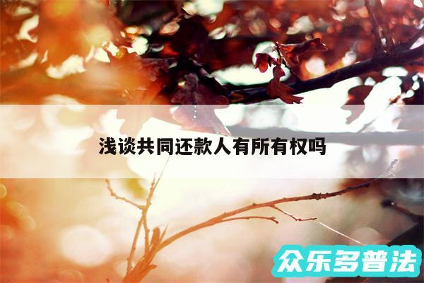 浅谈共同还款人有所有权吗