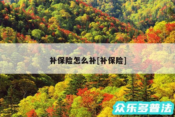 补保险怎么补及补保险