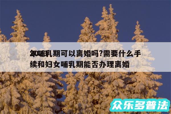 2024年哺乳期可以离婚吗?需要什么手续和妇女哺乳期能否办理离婚