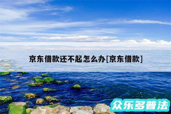 京东借款还不起怎么办及京东借款