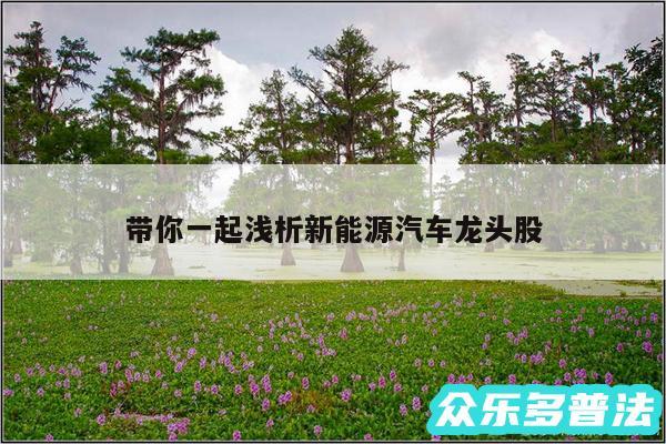 带你一起浅析新能源汽车龙头股