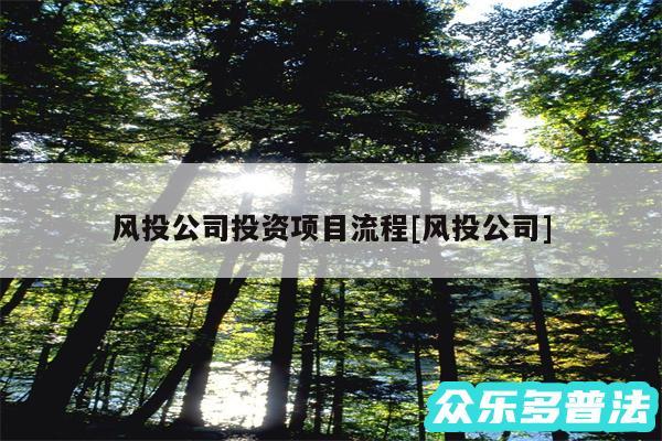 风投公司投资项目流程及风投公司