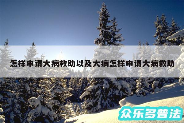 怎样申请大病救助以及大病怎样申请大病救助